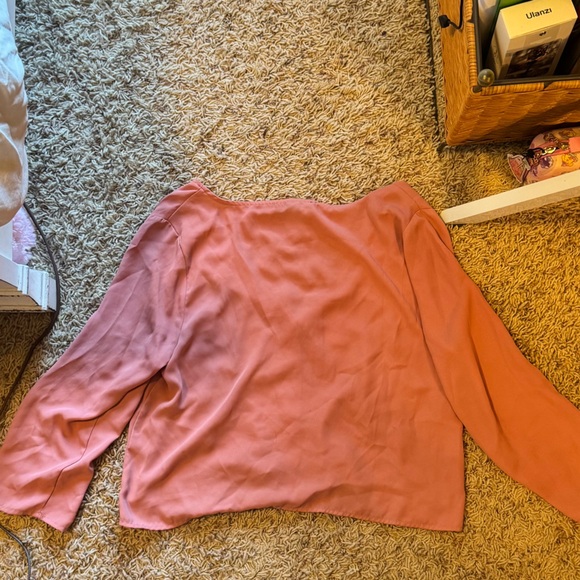 Vintage Forever 21 Dusty Rose Blush Sheer Cropped Button-Front Blouse - Picture 4 of 6